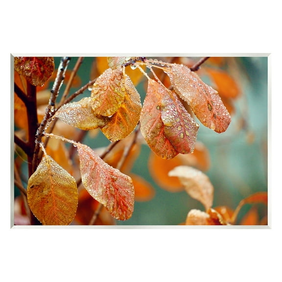 Stupell Industries Autumn Tree Leaves Water Droplets Fall Foliage Photograph Unframed Art Print Wall Art, Design by Gail Peck