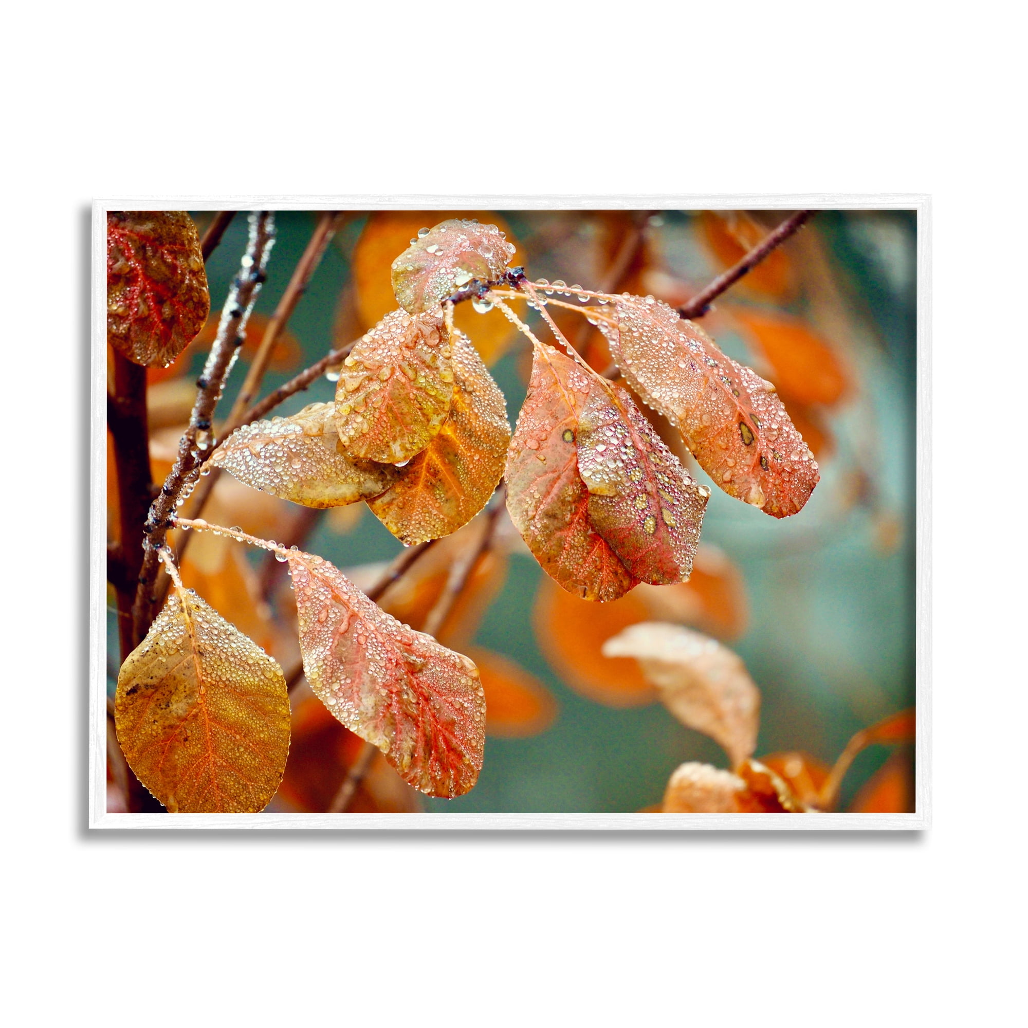 Stupell Industries Autumn Tree Leaves Water Droplets Fall Foliage Photograph White Framed Art Print Wall Art, Design by Gail Peck