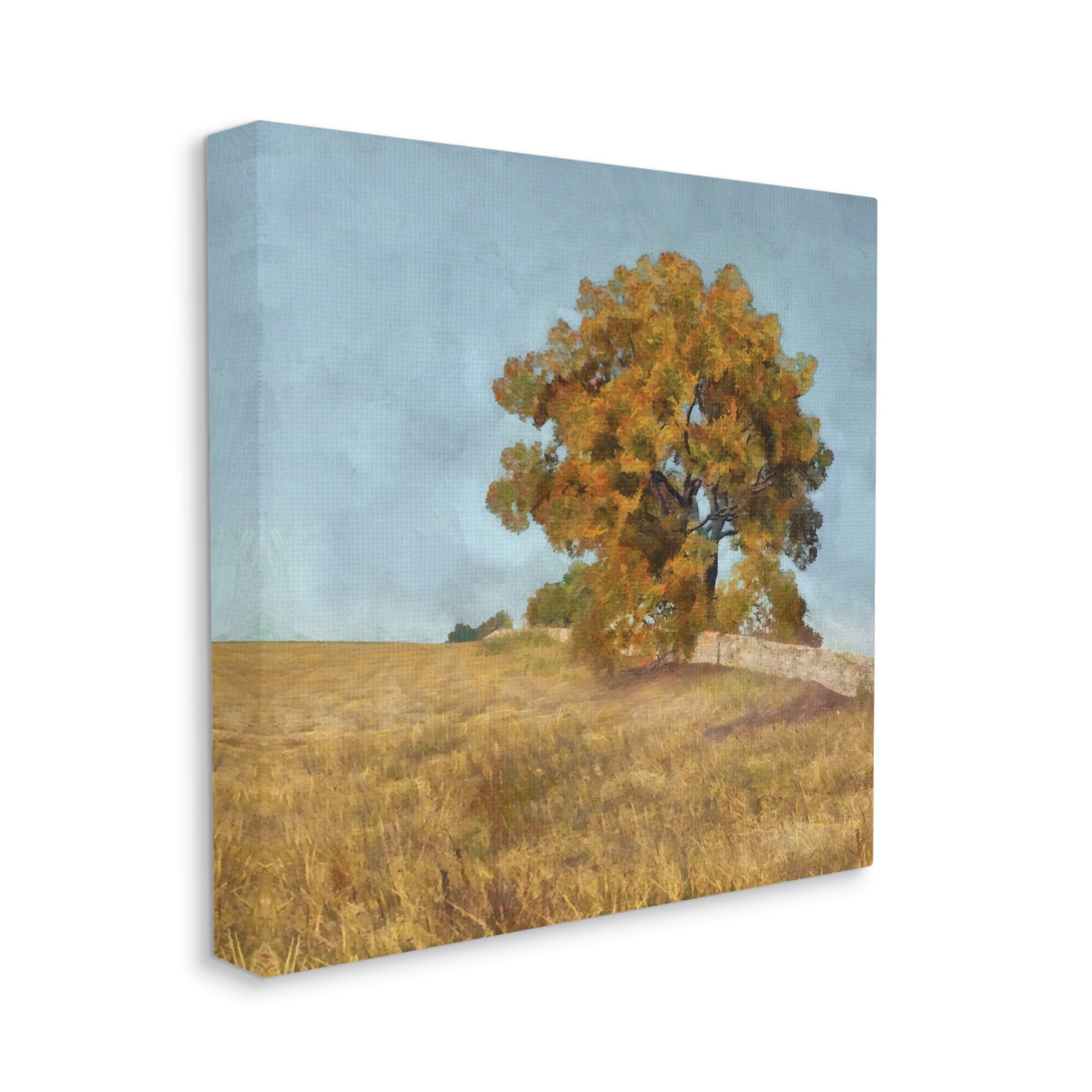 Stupell Industries Autumn Tree on Grassy Hill Country Landscape,24 x 24,Designed by Alonzo Saunders