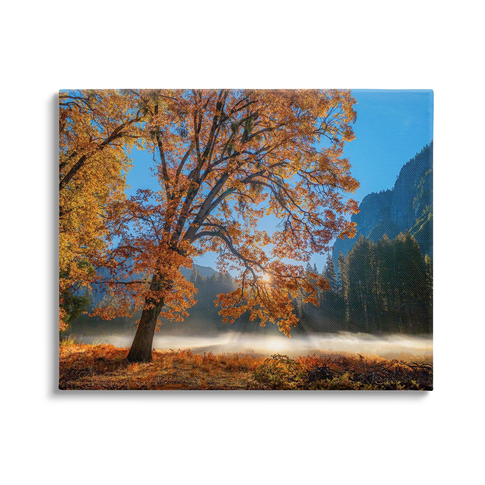 Stupell Industries Autumn Trees Foliage Beautiful Sun Rays Peeking Horizon Canvas Wall Art, 20 x 16, Design by John Gavrilis