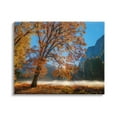 thumbnail image 1 of Stupell Industries Autumn Trees Foliage Beautiful Sun Rays Peeking Horizon Canvas Wall Art, 48 x 36, Design by John Gavrilis, 1 of 5