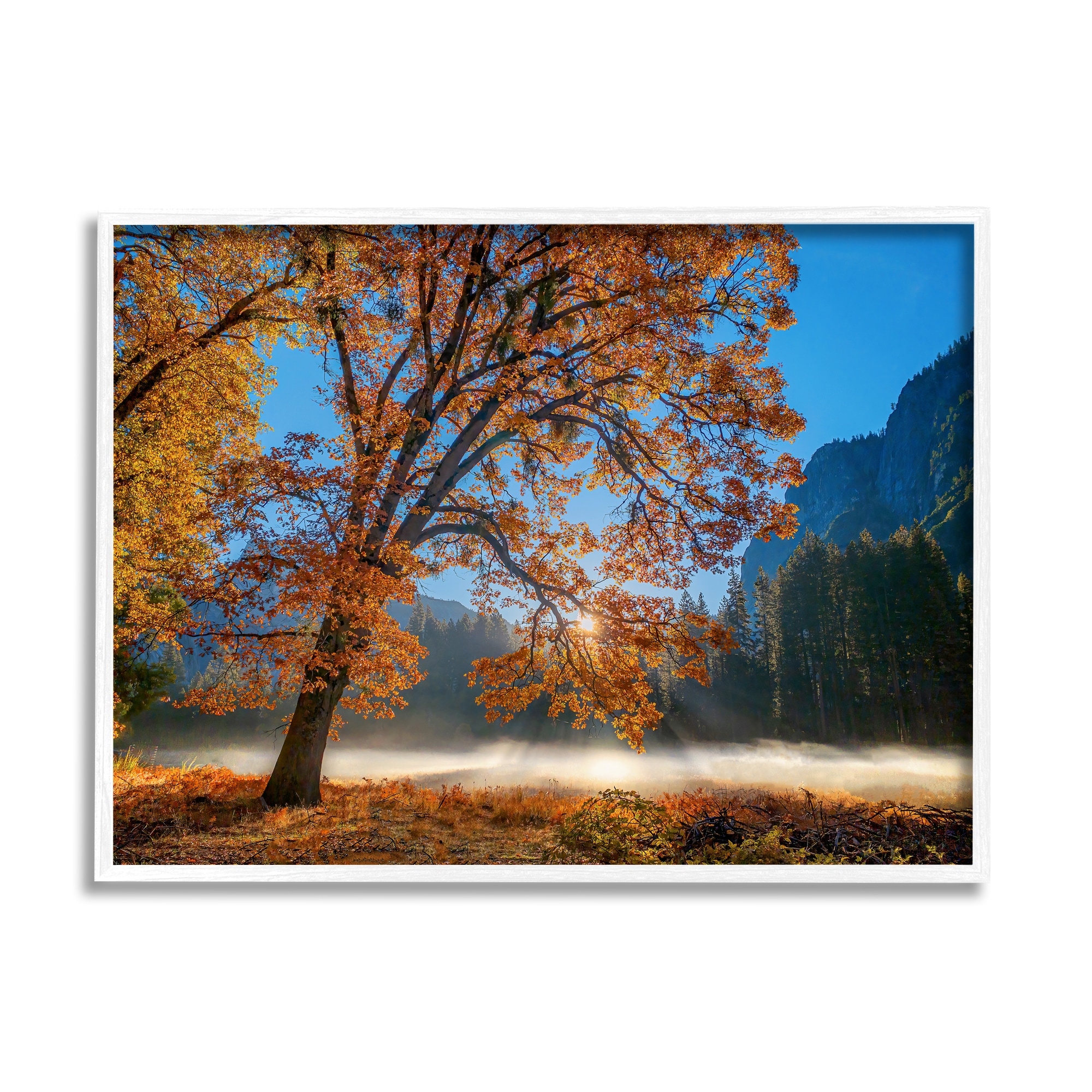 Stupell Industries Autumn Trees Foliage Beautiful Sun Rays Peeking Horizon Framed Wall Art, 14 x 11, Design by John Gavrilis