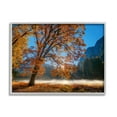 thumbnail image 1 of Stupell Industries Autumn Trees Foliage Beautiful Sun Rays Peeking Horizon Framed Wall Art, 30 x 24, Design by John Gavrilis, 1 of 5