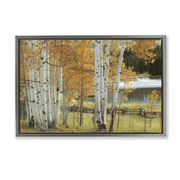 Stupell Industries Autumnal Birch Beauty Gray Framed Floater Canvas Wall Art design by Mike Jones, 21 x 31