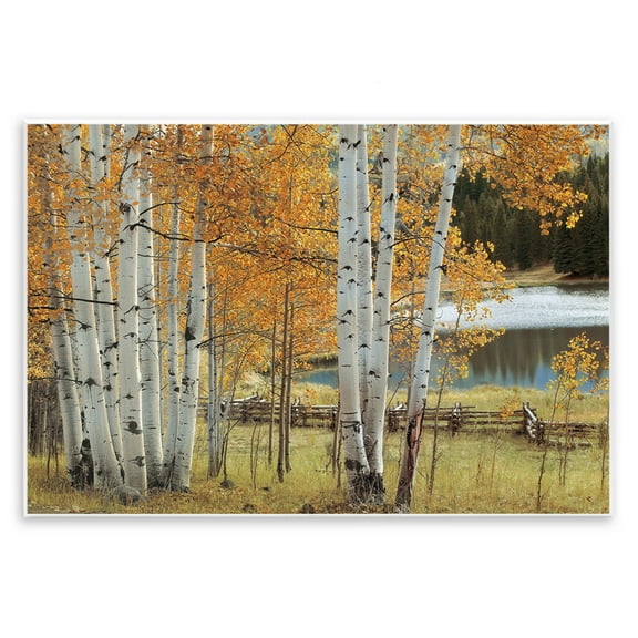 Stupell Industries Autumnal Birch Beauty Wall Plaque Art design by Mike Jones, 10 x 15