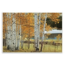 Stupell Industries Autumnal Birch Beauty Wall Plaque Art design by Mike Jones, 10 x 15