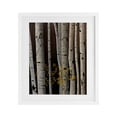 thumbnail image 1 of Stupell Industries Autumnal Birch Tree Trunks White Framed Print Under Glass design by Julie Peterson, 16 x 13, 1 of 10