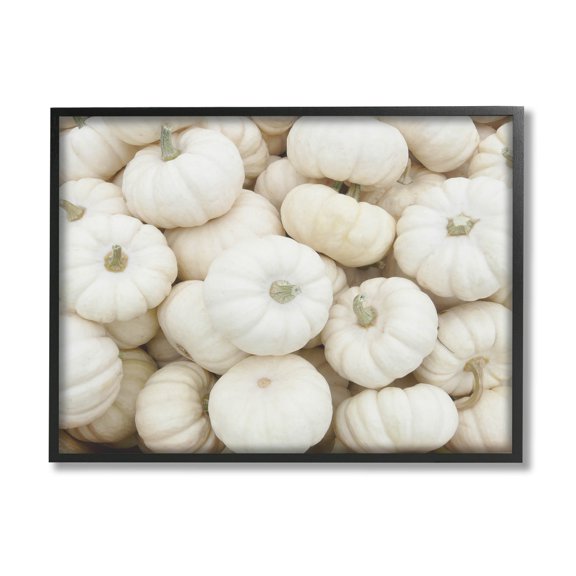 Stupell Industries Autumnal White Pumpkins Photograph Black Framed Art Print Wall Art, Design by Lil' Rue
