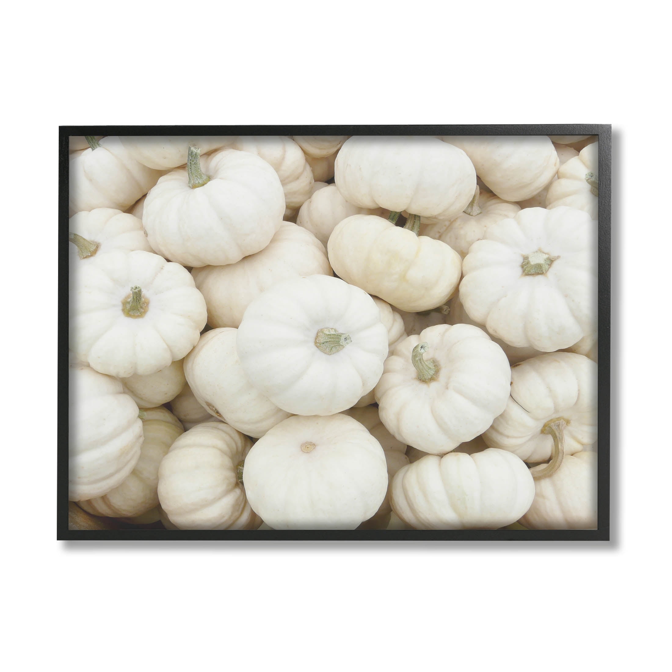 Stupell Industries Autumnal White Pumpkins Photograph Black Framed Art Print Wall Art, Design by Lil' Rue