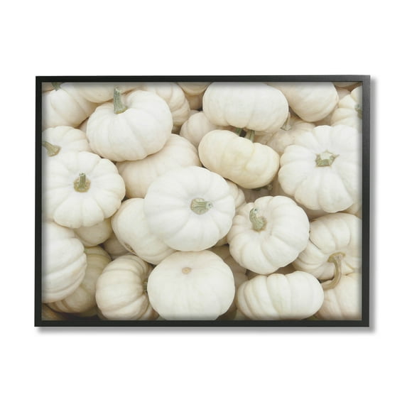 Stupell Industries Autumnal White Pumpkins Photograph Black Framed Art Print Wall Art, Design by Lil' Rue