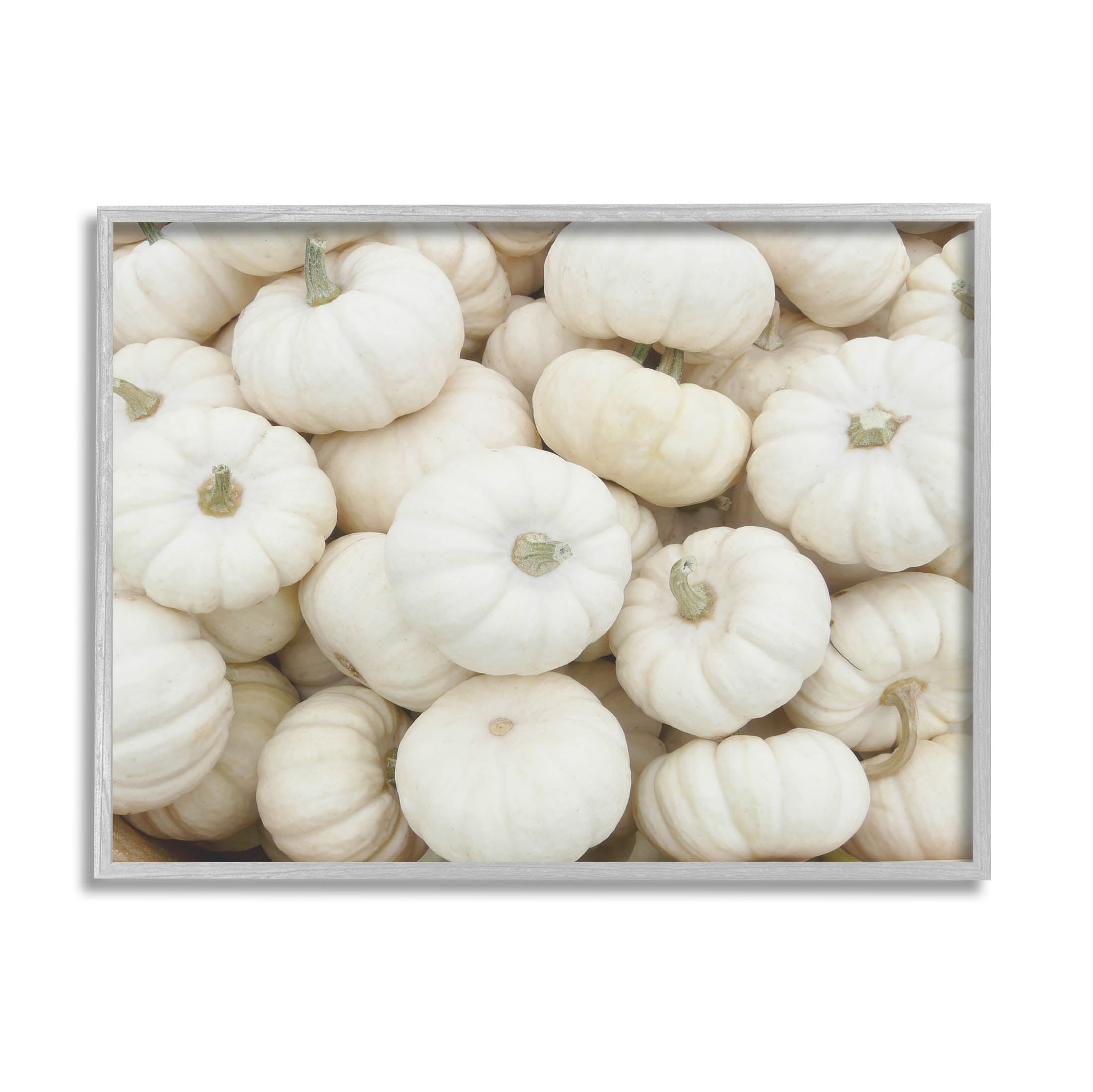 Stupell Industries Autumnal White Pumpkins Photograph Gray Framed Art Print Wall Art, Design by Lil' Rue