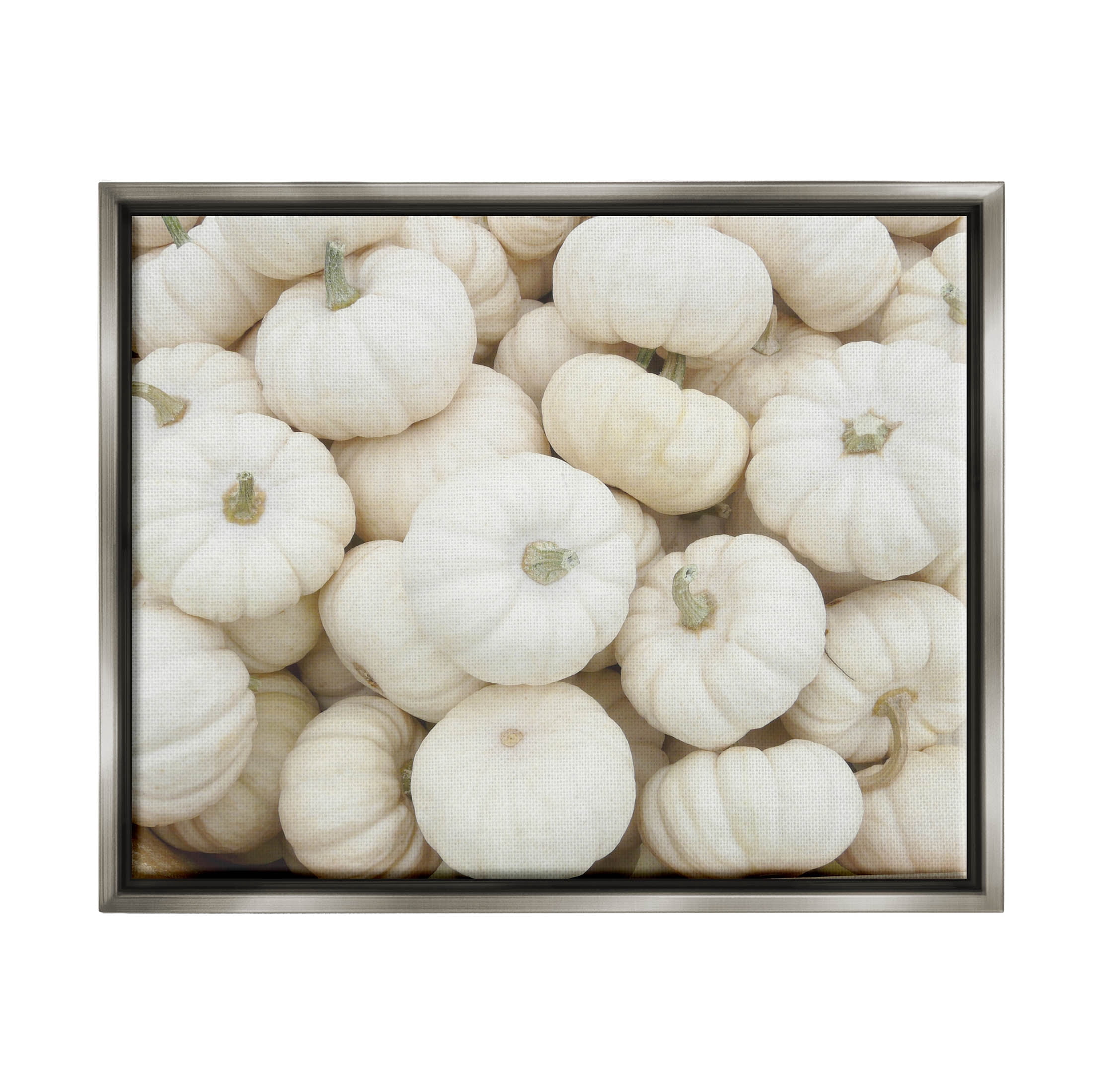 Stupell Industries Autumnal White Pumpkins Photograph Luster Gray Floating Framed Canvas Print Wall Art, Design by Lil' Rue