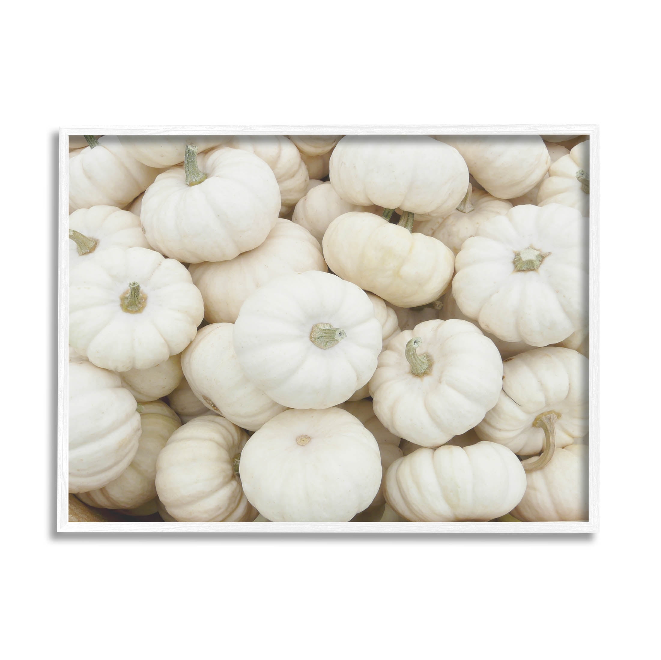 Autumnal White Pumpkins Framed Giclee Art in White Wood Frame