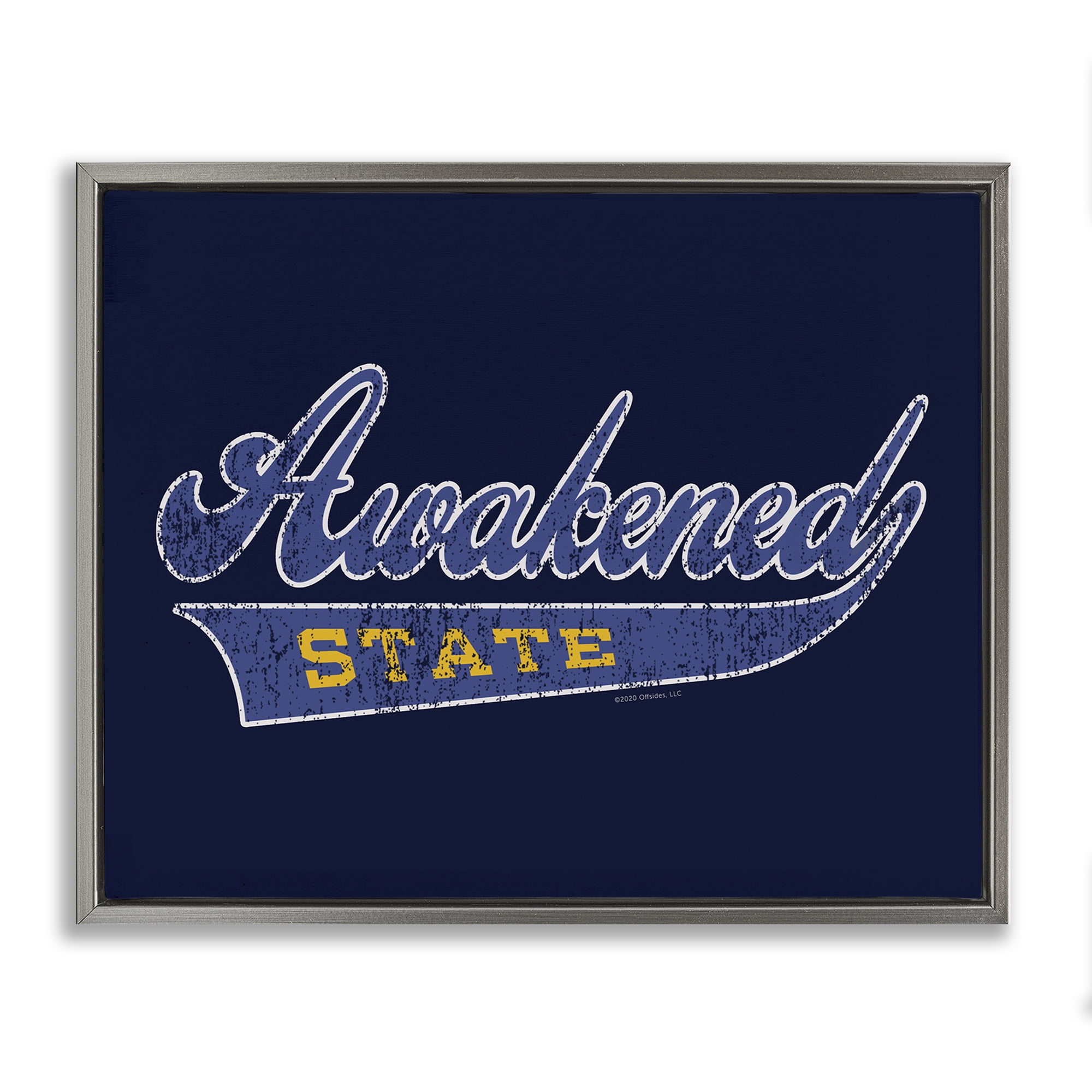 Stupell Industries Awakened State Varsity Novelty & Humor Painting Gray Floater Framed Canvas Art Print Wall Art, 21 x 17