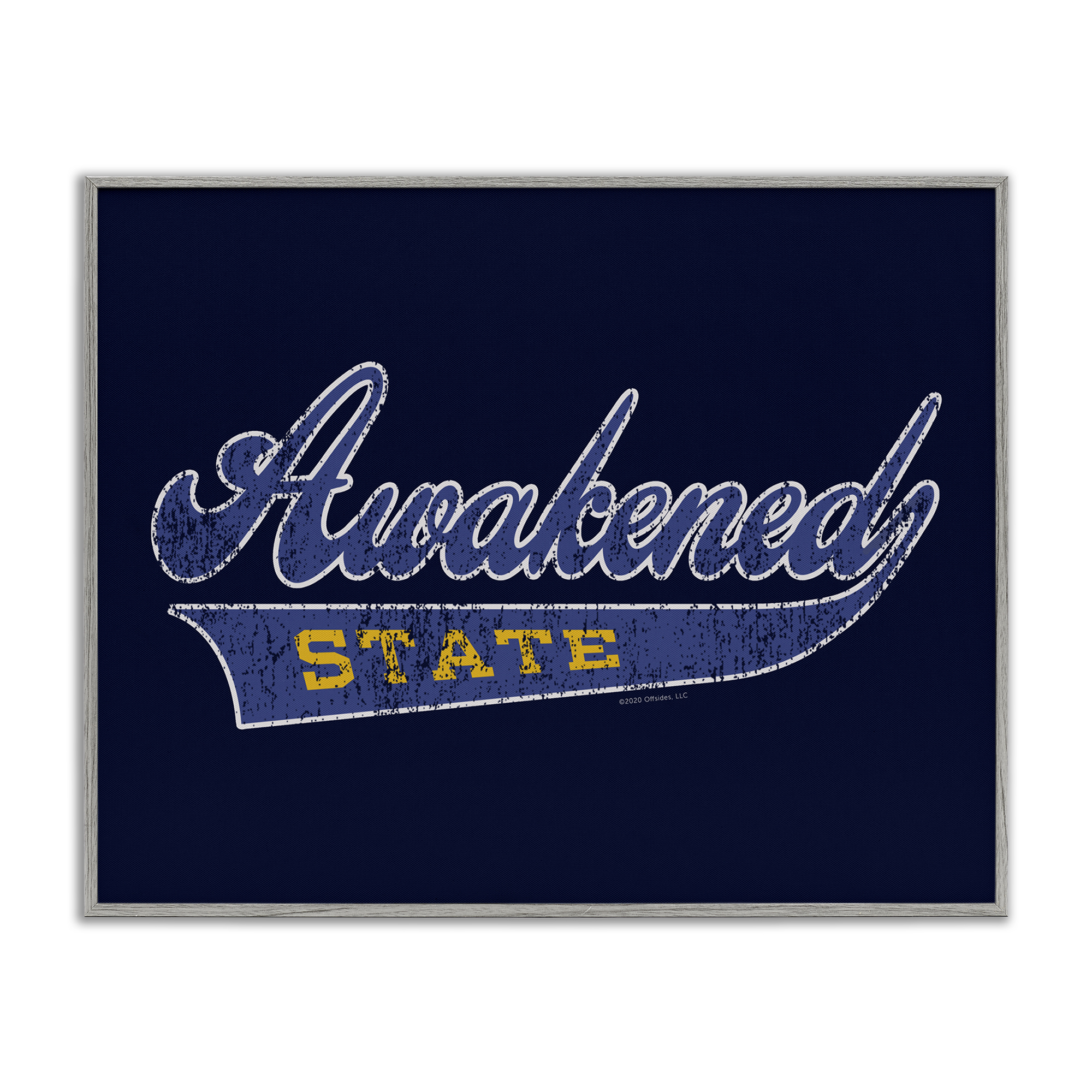 Stupell Industries Awakened State Varsity Novelty & Humor Painting Gray Framed Art Print Wall Art, 20 x 16