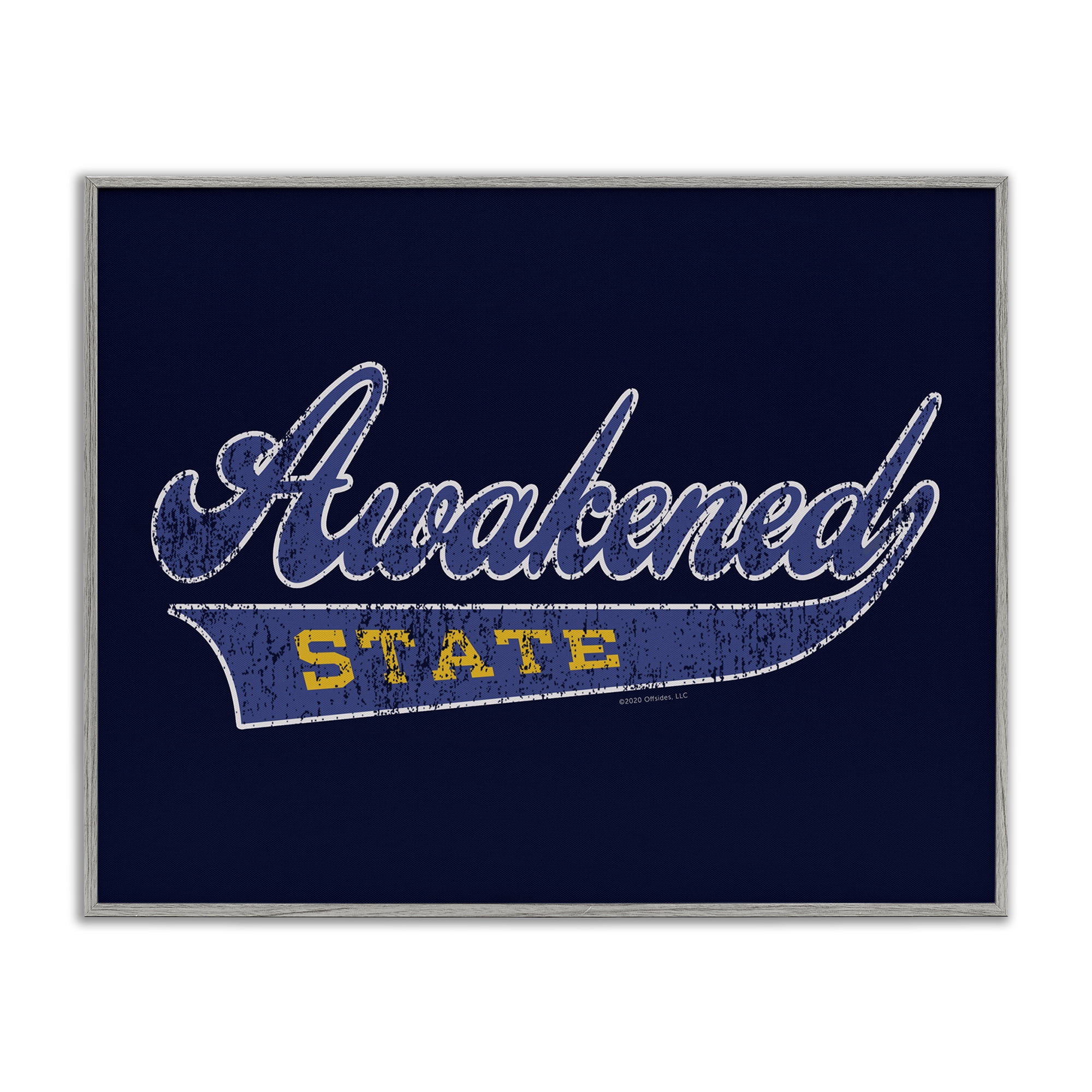 Stupell Industries Awakened State Varsity Novelty & Humor Painting Gray Framed Art Print Wall Art, 30 x 24