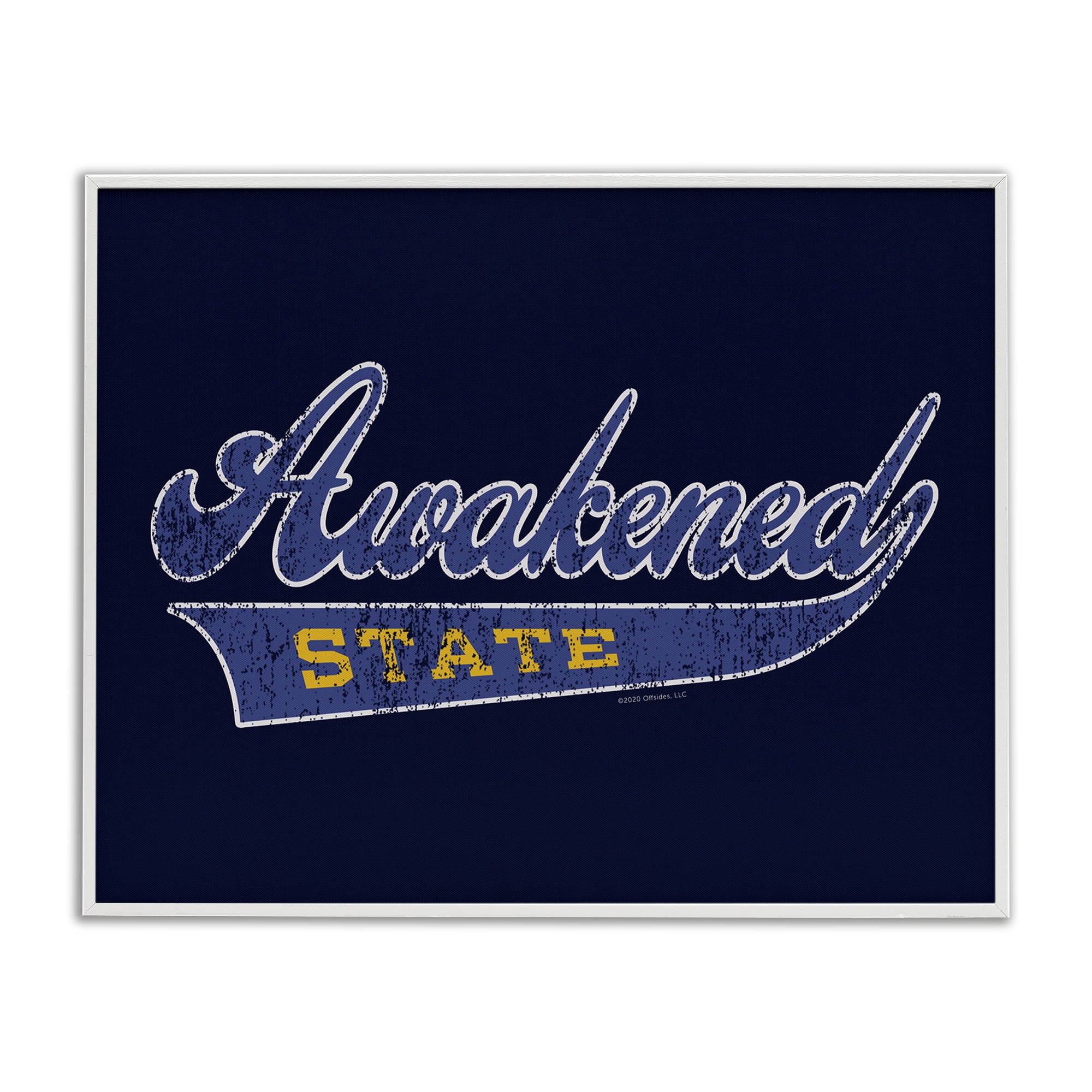 Stupell Industries Awakened State Varsity Novelty & Humor Painting White Framed Art Print Wall Art, 20 x 16