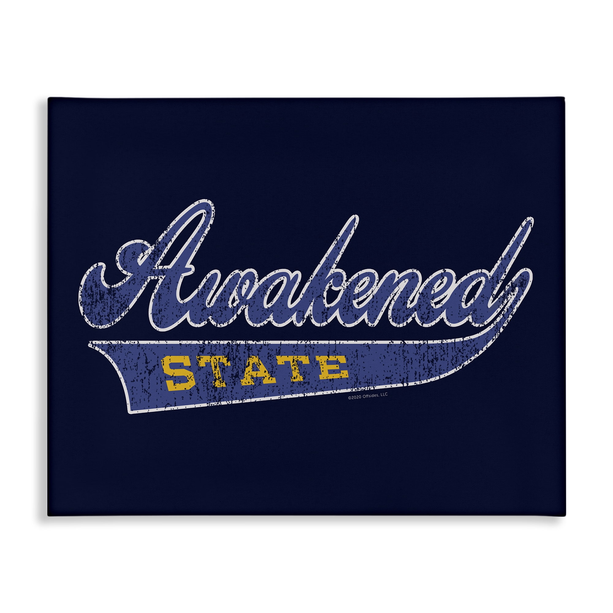 Stupell Industries Awakened State Varsity Novelty & Humor Painting Wrapped Canvas Art Print Wall Art, 48 x 36