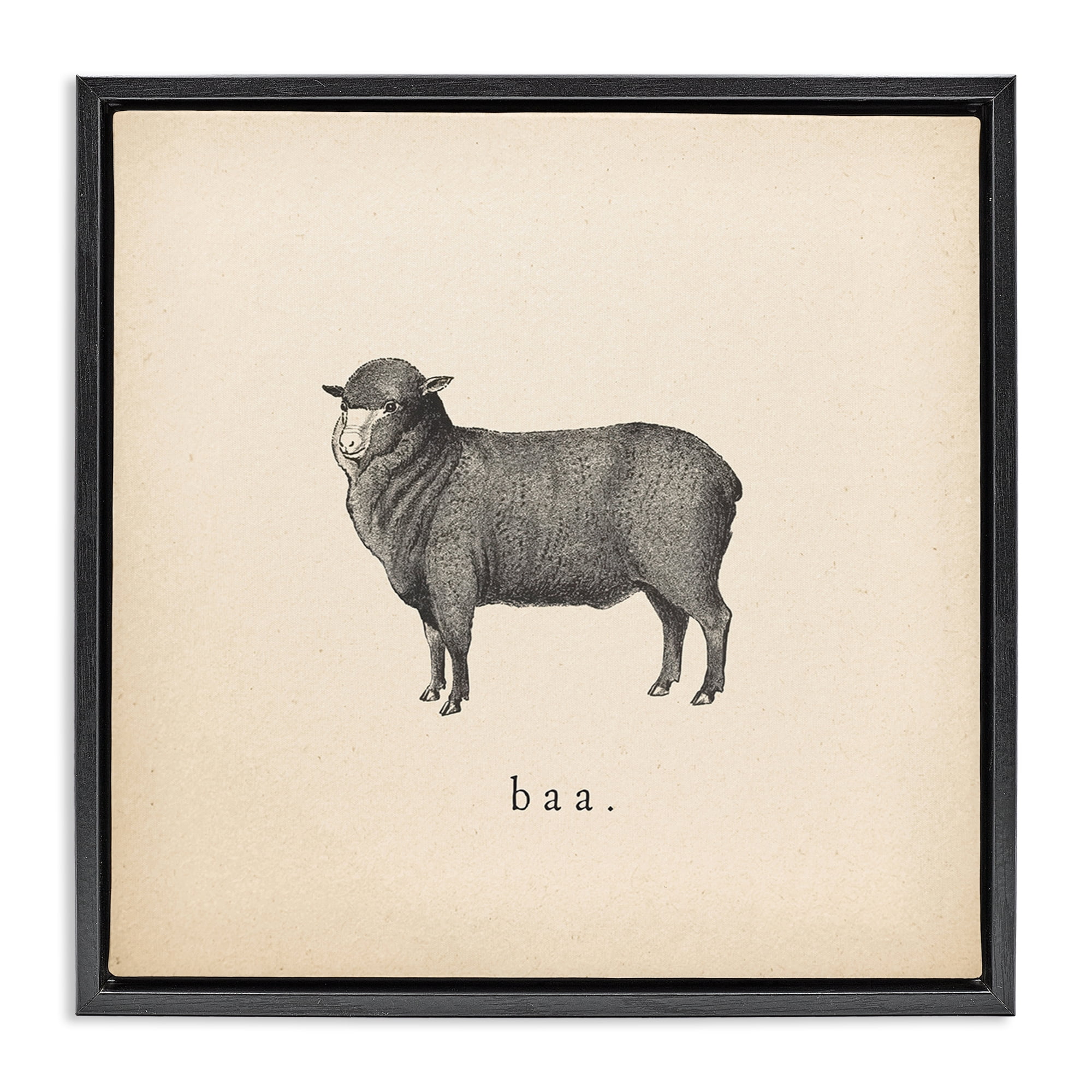 Stupell Industries Baa Farm Sheep Sounds Animals Painting Black Floater Framed Canvas Art Print Wall Art, 18 x 18