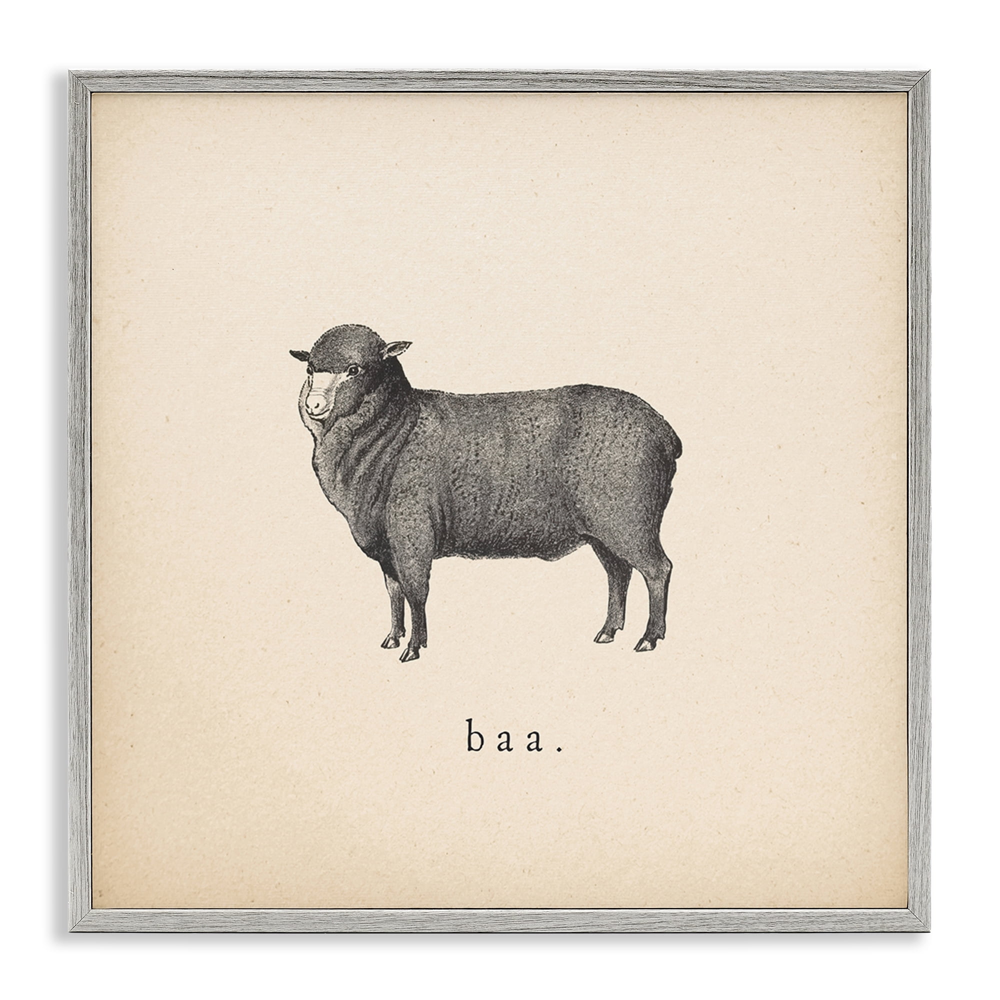Stupell Industries Baa Farm Sheep Sounds Animals Painting Gray Framed Art Print Wall Art, 12 x 12