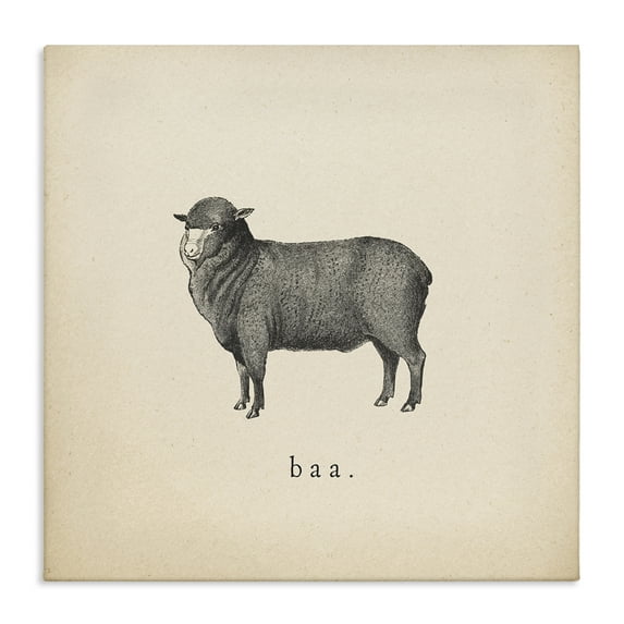 Stupell Industries Baa Farm Sheep Sounds Animals Painting Wrapped Canvas Art Print Wall Art, 17 x 17