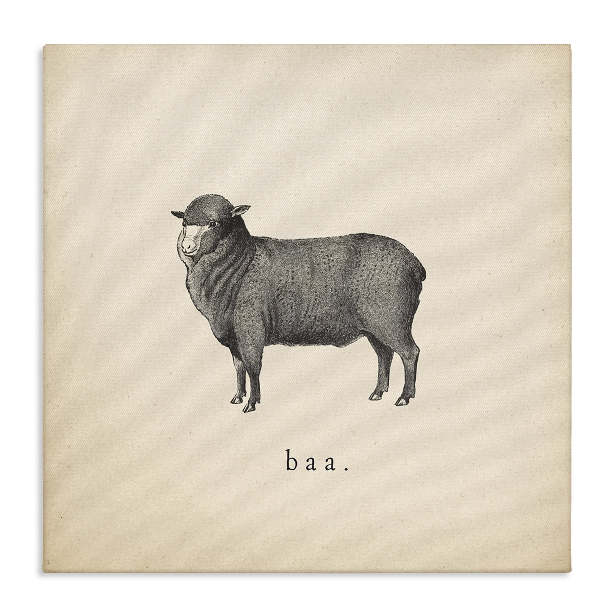 Stupell Industries Baa Farm Sheep Sounds Animals Painting Wrapped Canvas Art Print Wall Art, 30 x 30