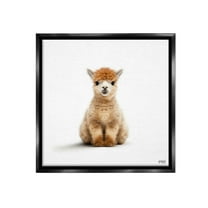 Stupell Industries Baby Alpaca Portrait Animals & Insects Painting Black Floater Framed Canvas Art Print Wall Art, 18 x 18