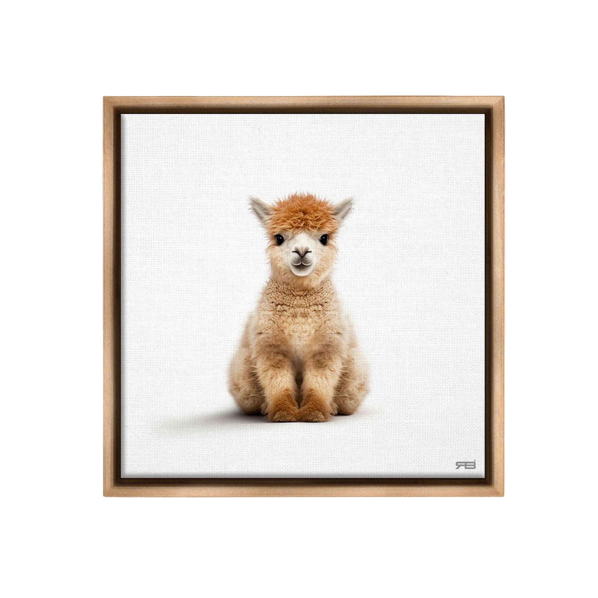 Stupell Industries Baby Alpaca Portrait Animals & Insects Painting Brown Floater Framed Canvas Art Print Wall Art, 25 x 25