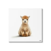 Stupell Industries Baby Alpaca Portrait Animals & Insects Painting Gallery Wrapped Canvas Art Print Wall Art, 17 x 17