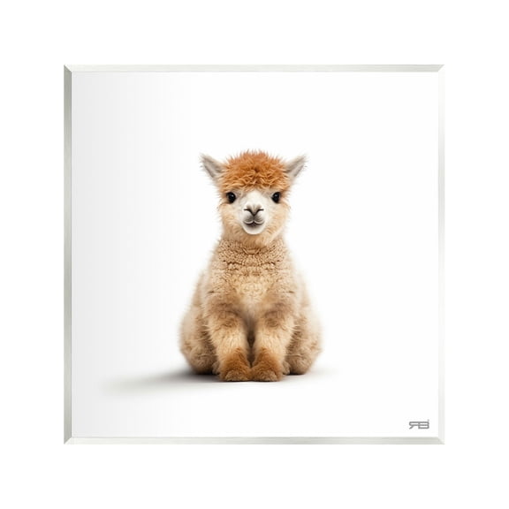 Stupell Industries Baby Alpaca Portrait Animals & Insects Painting Unframed Art Print Wall Art, 12 x 12
