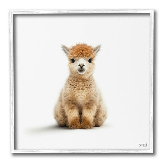 Stupell Industries Baby Alpaca Portrait Animals & Insects Painting White Framed Art Print Wall Art, 12 x 12