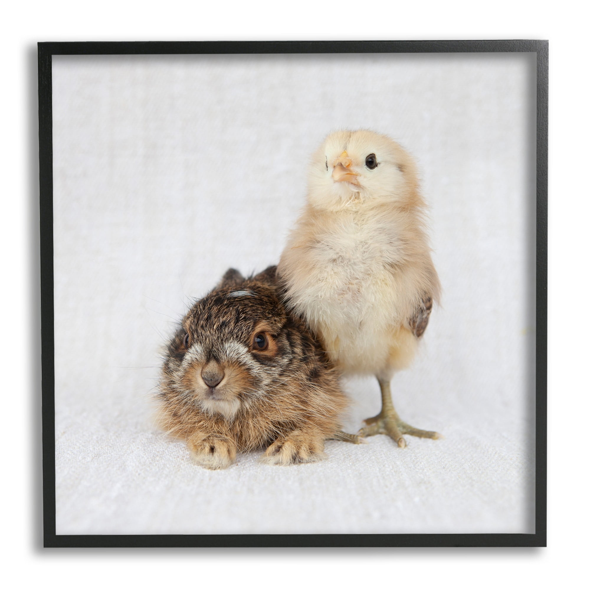 Stupell Industries Baby Animals Chick Bunny Duo Portrait Photography Photograph Black Framed Art Print Wall Art, Design by Tania Soderman