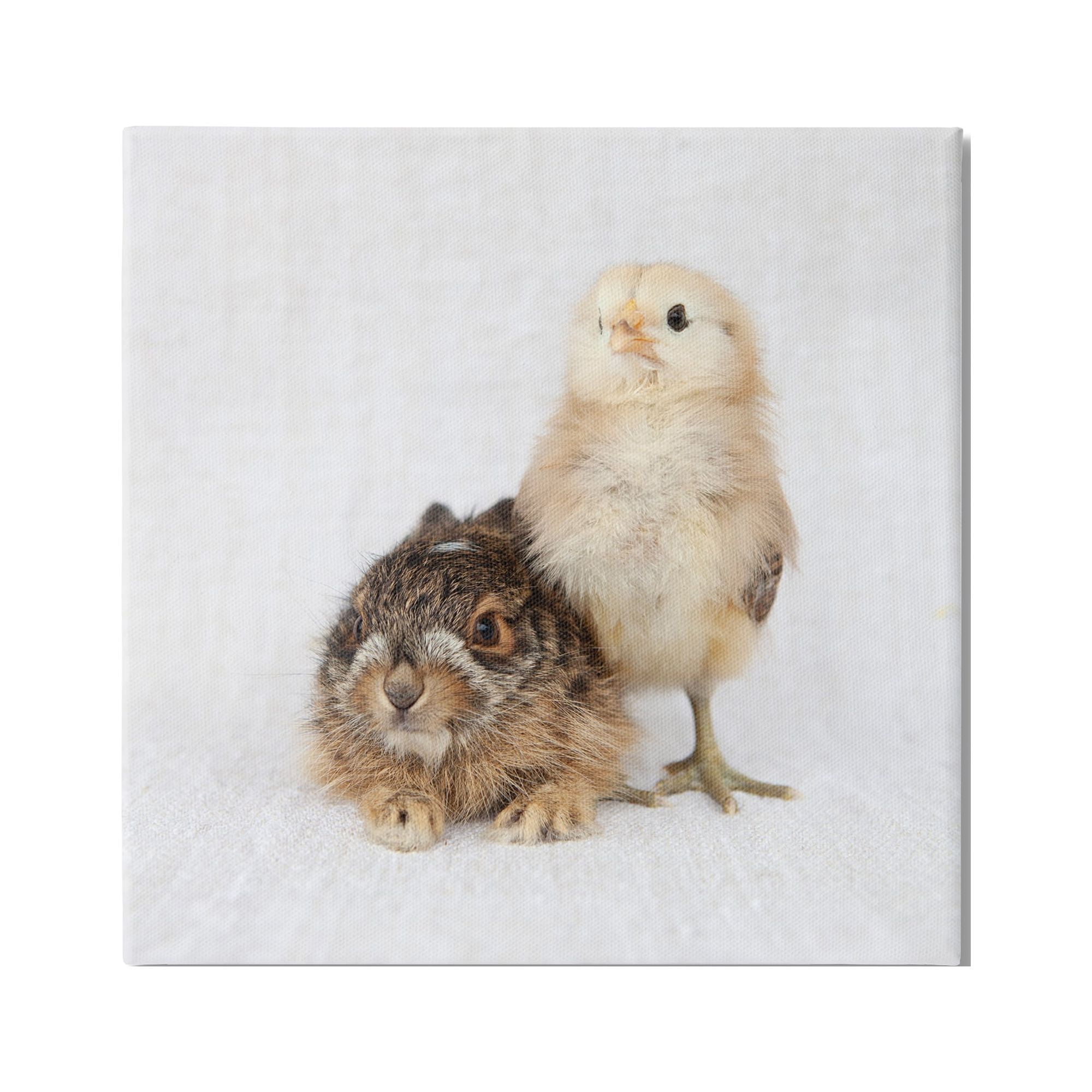 Stupell Industries Baby Animals Chick Bunny Duo Portrait Photography Photograph Gallery Wrapped Canvas Print Wall Art, Design by Tania Soderman