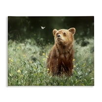 Stupell Industries Baby Bear & Butterfly Animals Painting Wrapped Canvas Art Print Wall Art, 20 x 16