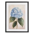 thumbnail image 1 of Stupell Industries Cottage Baby Blue Hydrangea Black Framed Print Under Glass, 17 x 23, by Petals Prints Design, 1 of 8