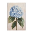 thumbnail image 1 of Stupell Industries Cottage Baby Blue Hydrangea Canvas Art, 20 x 30, by Petals Prints Design, 1 of 8