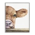 thumbnail image 1 of Stupell Industries Rustic Lodge Baby Calf Cow Resting Head Up-Close Rural Gray Framed Giclee Art, 11 x 14, by George Dyachenko, 1 of 7