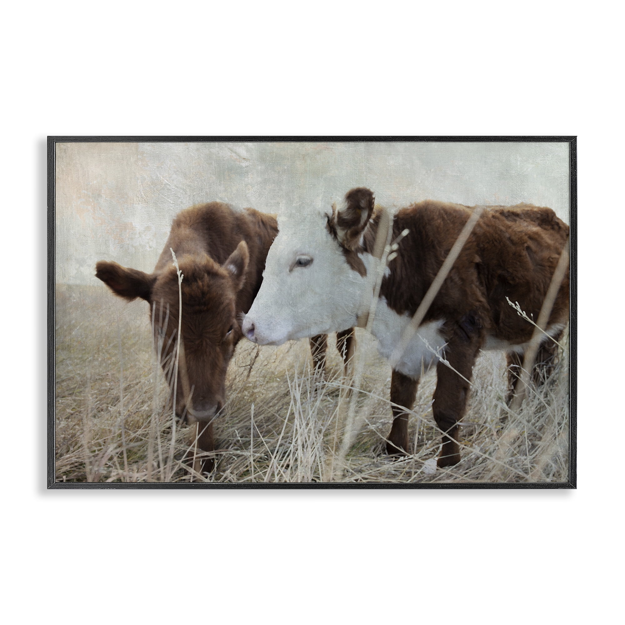 Stupell Industries Baby Calf Pair in Grass Animals & Insects Photography Black Framed Art Print Wall Art, 30 x 20