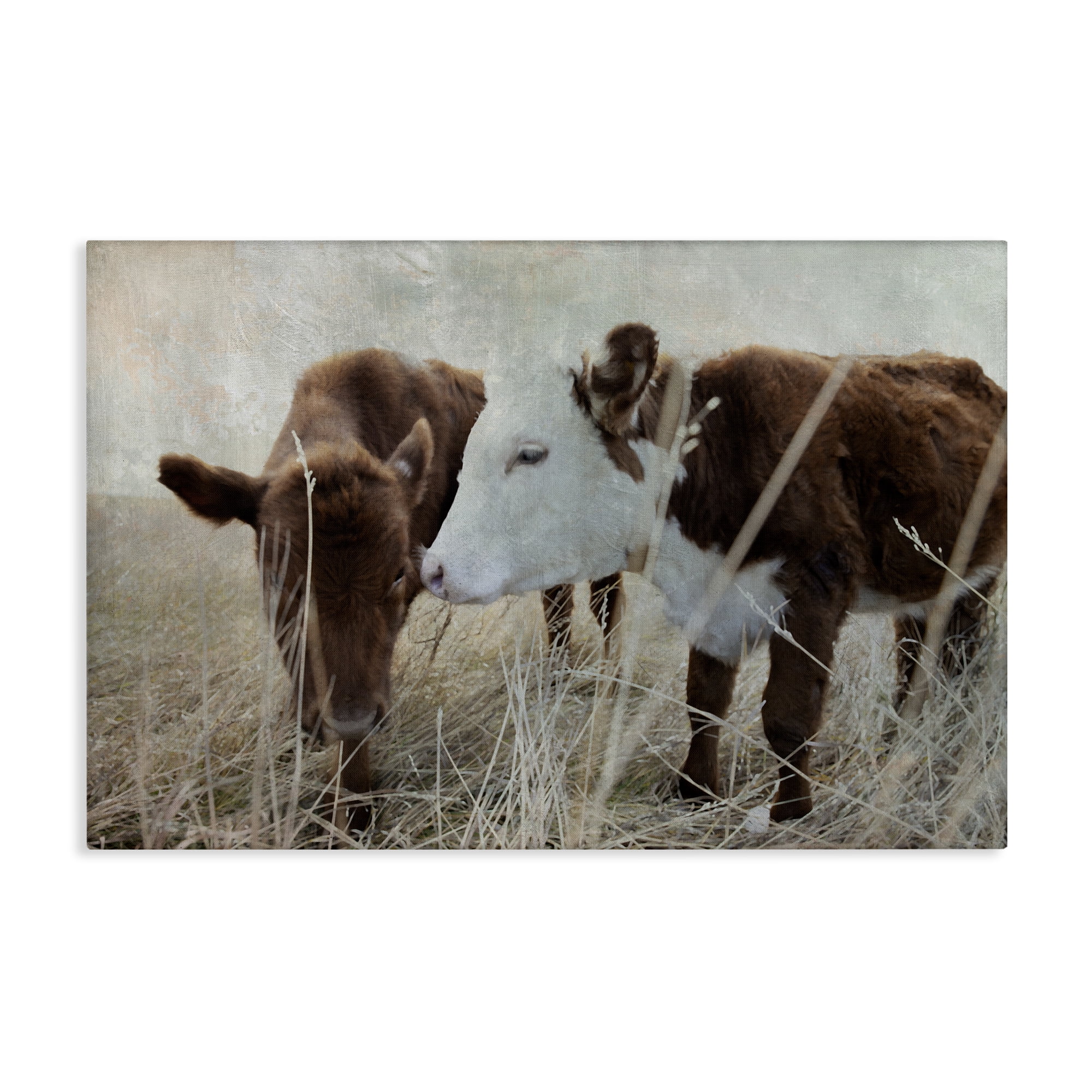 Stupell Industries Baby Calf Pair in Grass Animals & Insects Photography Gallery Wrapped Canvas Art Print Wall Art, 36 x 24