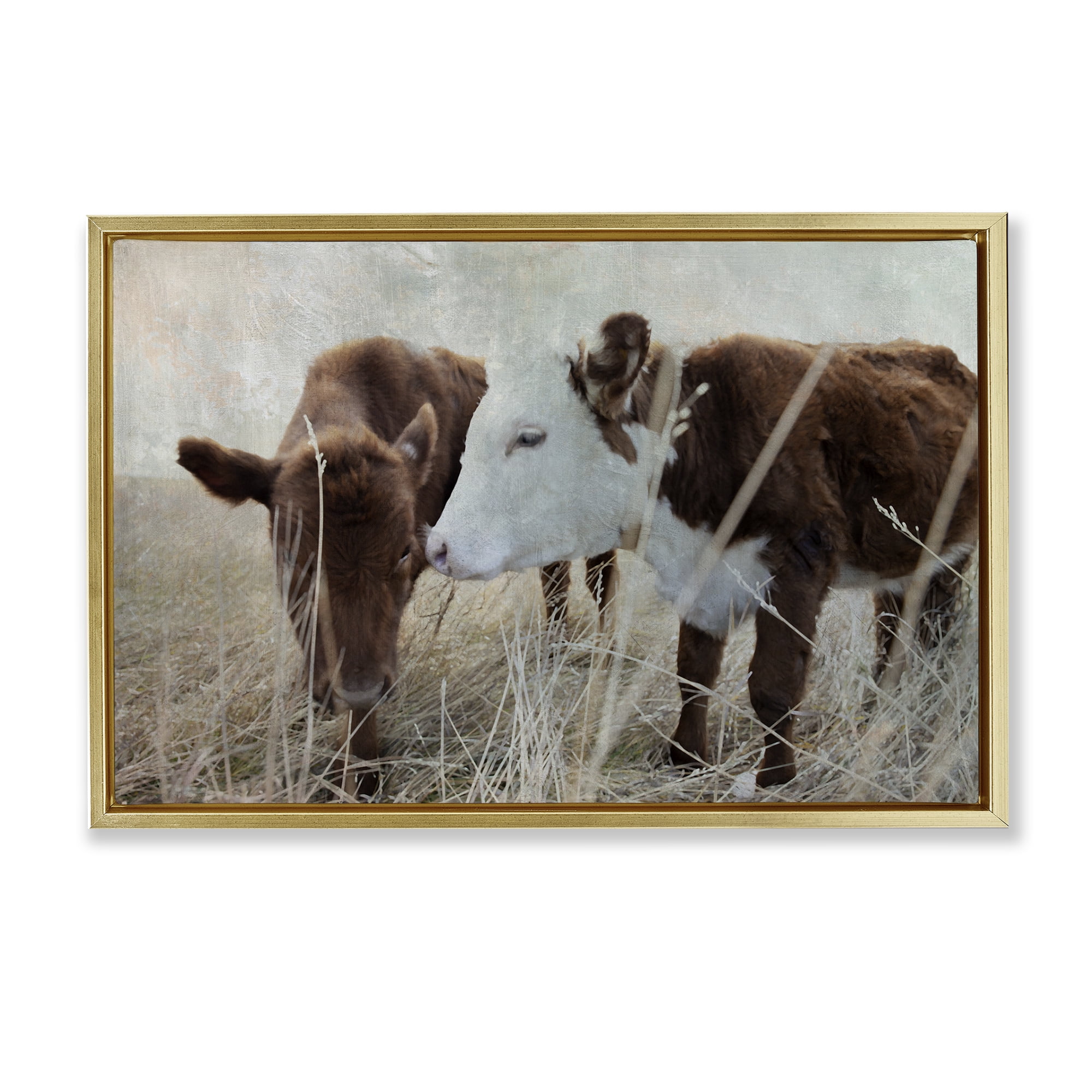 Stupell Industries Baby Calf Pair in Grass Animals & Insects Photography Gold Floater Framed Canvas Art Print Wall Art, 25 x 17