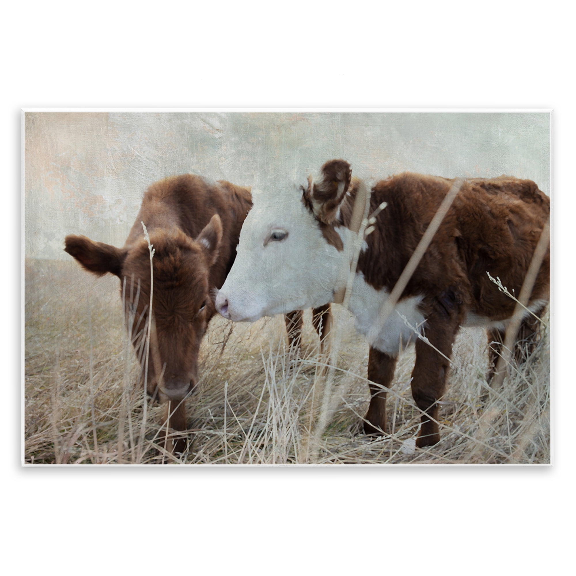 Stupell Industries Baby Calf Pair in Grass Animals & Insects Photography Unframed Art Print Wall Art, 19 x 13