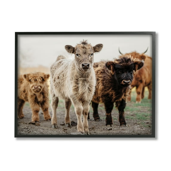 Stupell Industries Baby Calves on Farm Animals & Insects Photography Black Framed Art Print Wall Art, 20 x 16