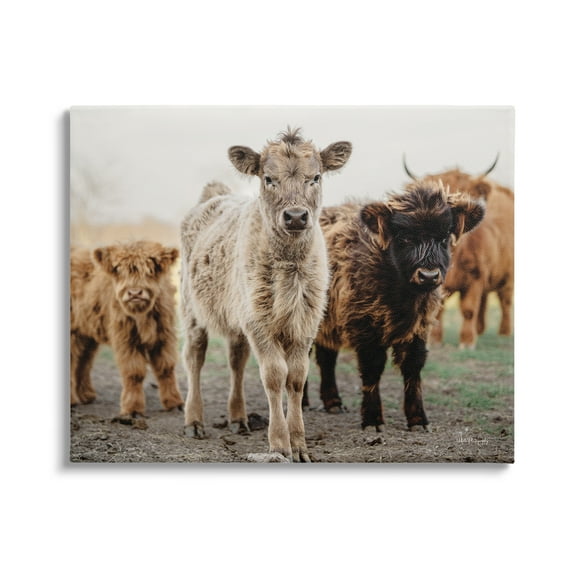 Stupell Industries Baby Calves on Farm Animals & Insects Photography Gallery Wrapped Canvas Print Wall Art, 20 x 16