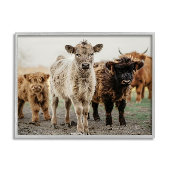 Stupell Industries Baby Calves on Farm Animals & Insects Photography Gray Framed Art Print Wall Art, 14 x 11