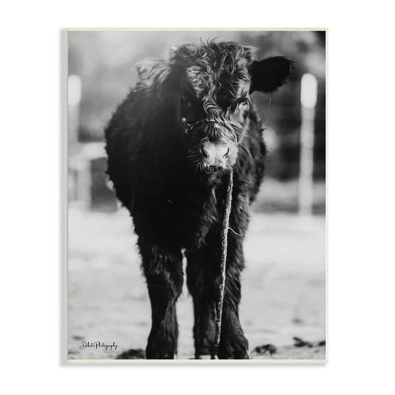 Stupell Industries Baby Cattle Calf Grazing Rural Farm Photography Photograph Unframed Art Print Wall Art, Design by Dakota Diener