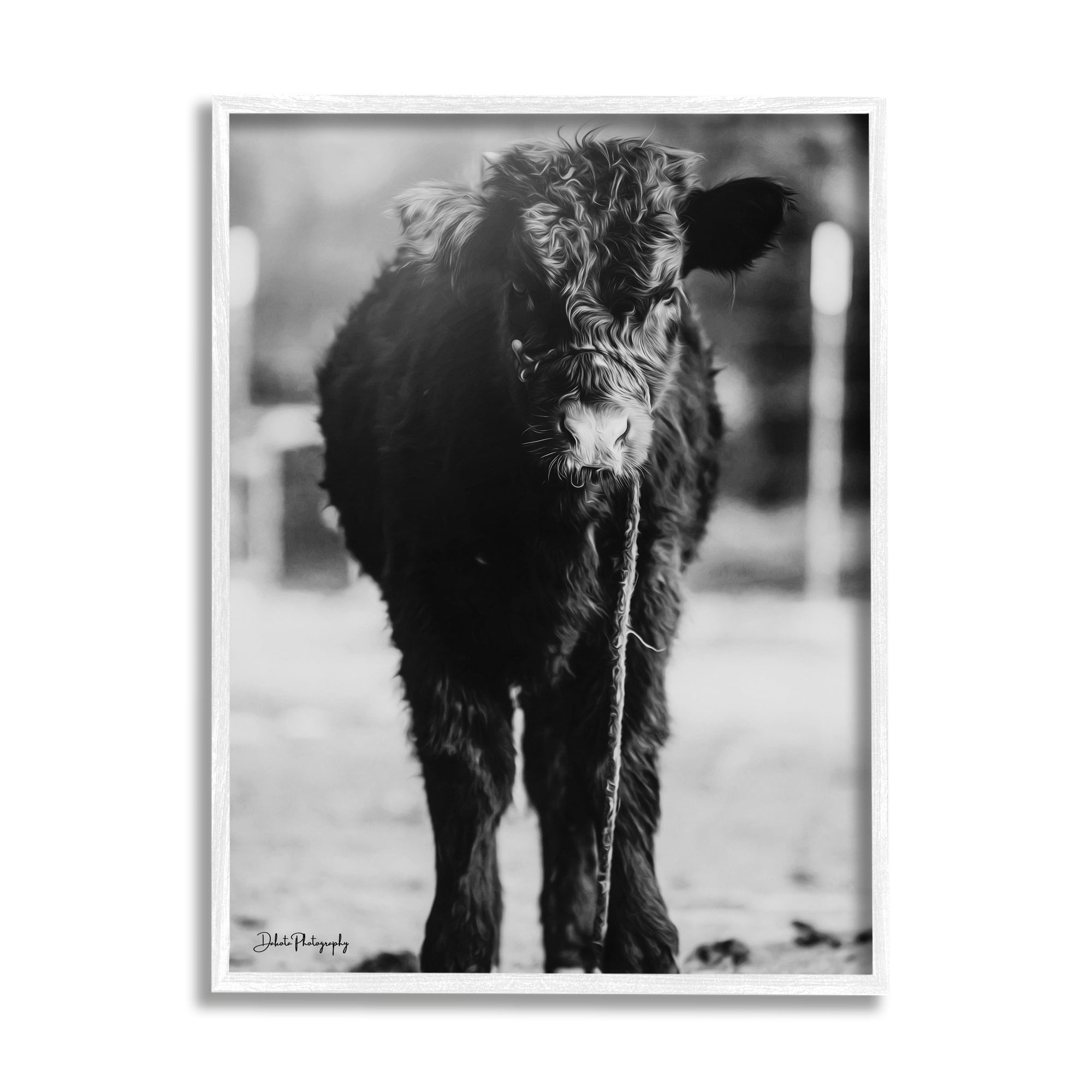 Stupell Industries Baby Cattle Calf Grazing Rural Farm Photography Photograph White Framed Art Print Wall Art, Design by Dakota Diener