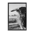 thumbnail image 1 of Stupell Industries Farmhouse Baby Cattle in Monochrome Black Floating Frame Canvas Art, 17 x 25, by Dakota Diener, 1 of 8