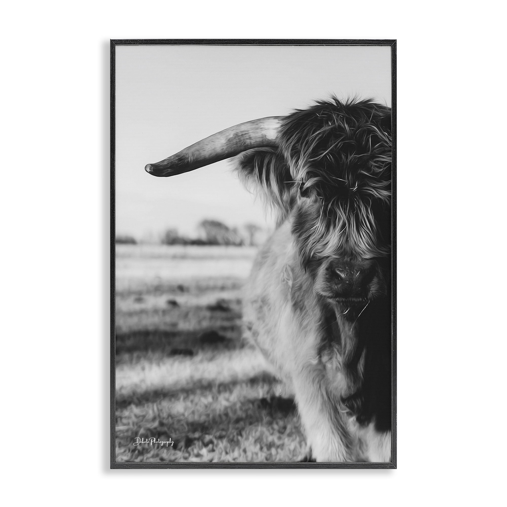 Stupell Industries Baby Cattle in Monochrome Black Framed Giclee Art, design by Dakota Diener