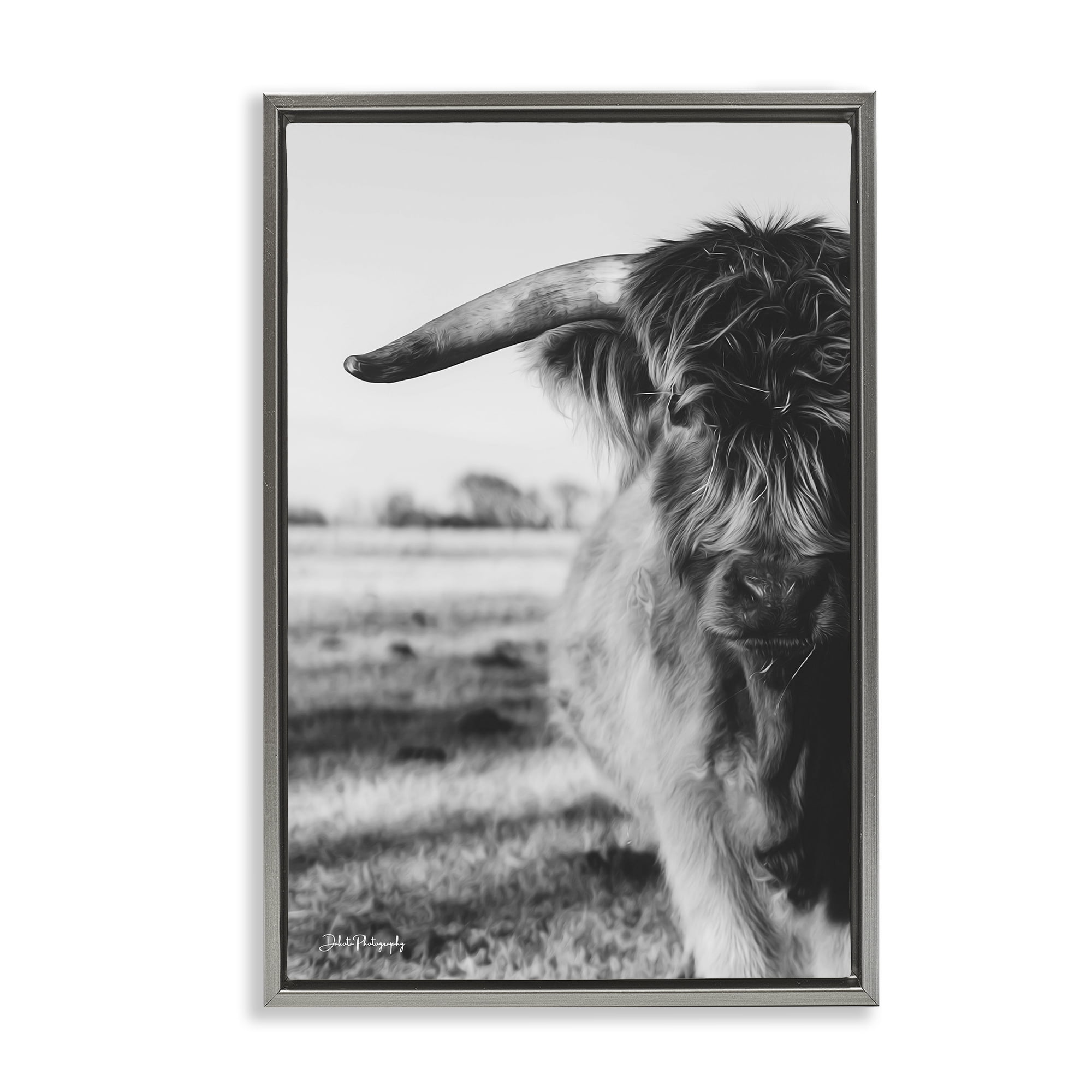 Stupell Industries Baby Cattle in Monochrome Gray Framed Floater Canvas Wall Art, design by Dakota Diener