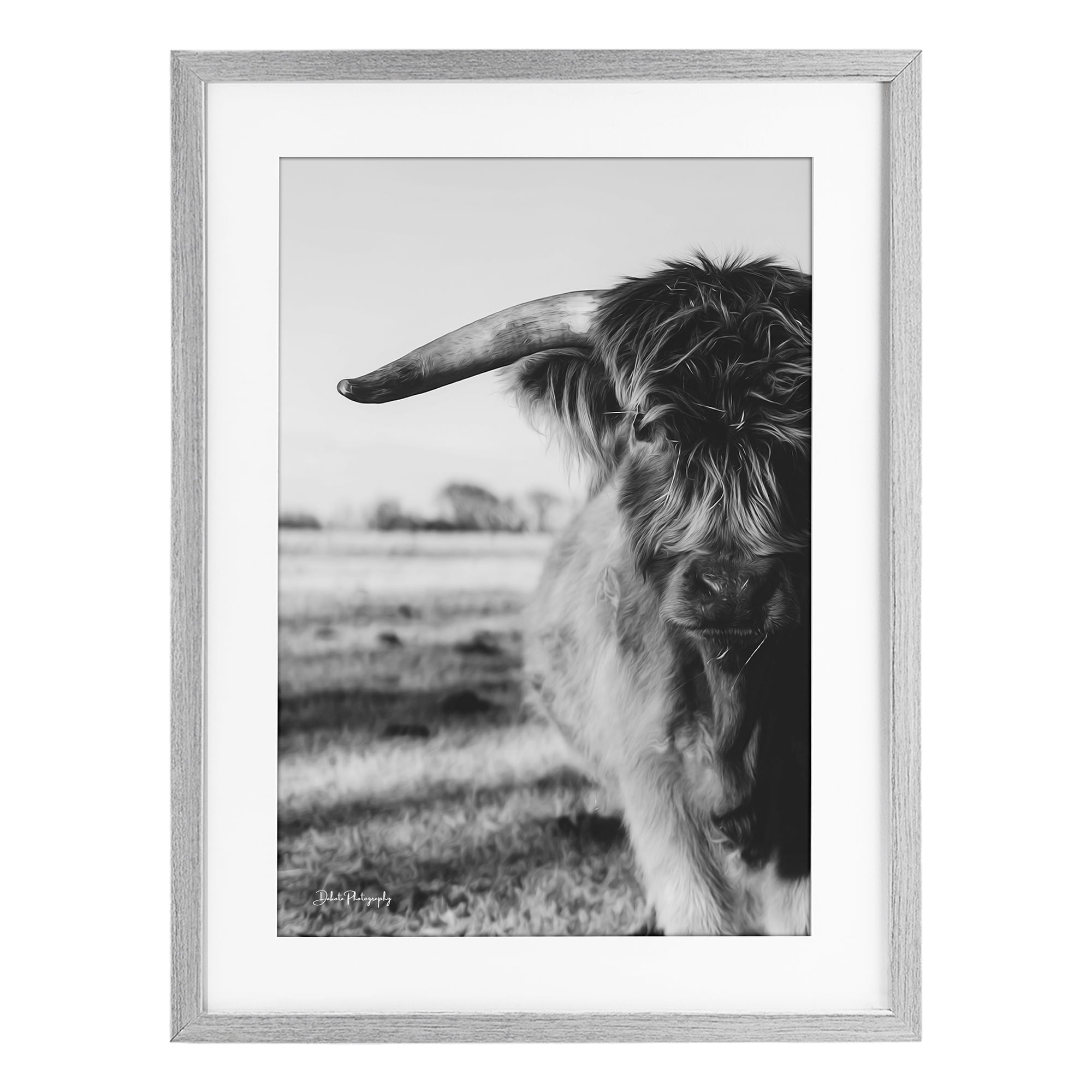 Stupell Industries Baby Cattle in Monochrome Gray Framed Print Under Glass, design by Dakota Diener